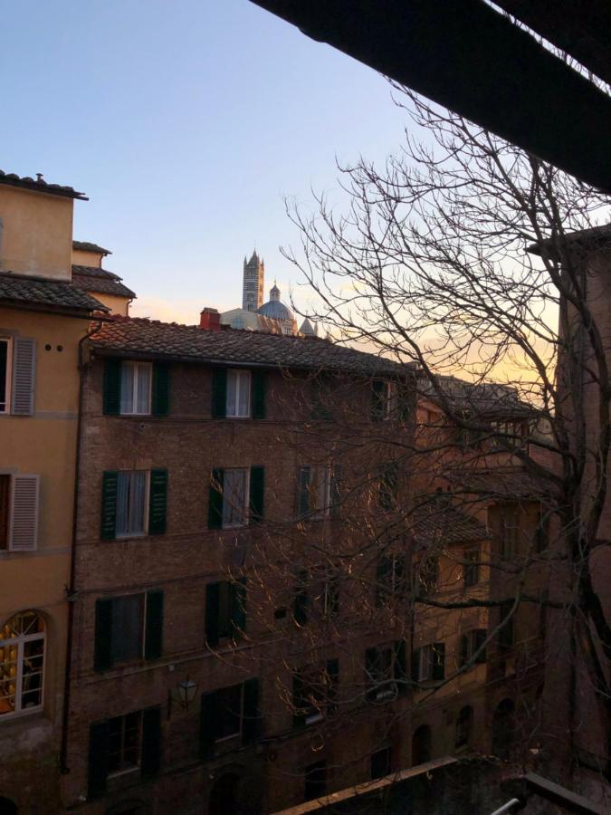 Teresa 91, appartamento incantevole con camino Siena Esterno foto